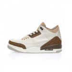 Jordan 3 Retro Palomino CT8532-102